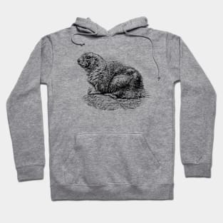 Prairie dog Hoodie